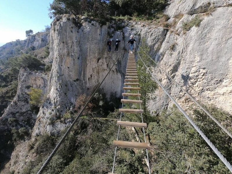 331720965_915414912915780_4494757461134285058_n