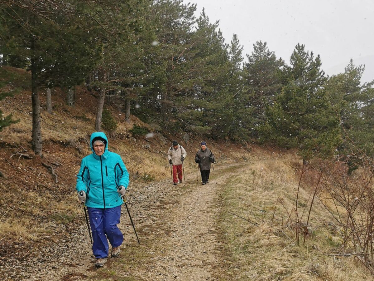 343135977_943304313366934_9210426006469493202_n